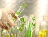 Botanical medicine