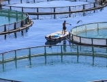 fisheries